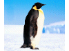 Captcha image 2204